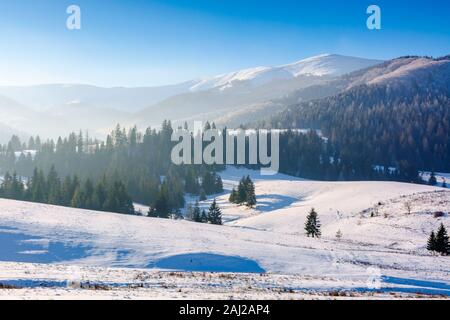 mountainous countryside in wintertime. snow covered rural fields on rolling hills with spruce forest. sunny and frosty afternoon. Stock Photo