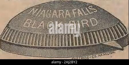 a gold coloured Big Game 50 wide fishing reel closeup in used condition.  Located in a rod holder aboard a yacht, ready to deploy Stock Photo - Alamy