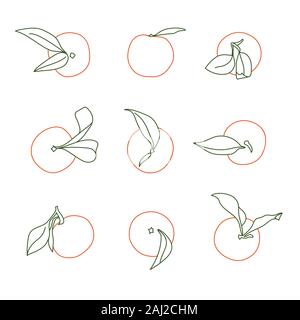 Minimalistic and Modern Tangerine Selection Vector Line Drawing Designs Isolated on White Background Stock Vector