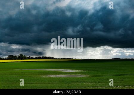 Water and puddles on agricultural field after heavy rain. Stock Photo