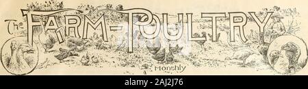 The Farm-poultry . Poultry Keeping. But from the nature of the dif-ferences indicated, the reader can easily see that eachbook contains many tilings not found in the others. Thedifferences in the methods of treatment, too, often helpsto a fuller understanding of a topic. For present study a person needs one general work onpoultry culture. I have tried to so describe the threeI have written that each person can decide which willsuit him best. AVhether he can use the others to advant-age I leave entirely to him. SPECIAL OFFERS. Principles and Practice of Poultry Culture, - -- -- -- -- -- -- $3.0
