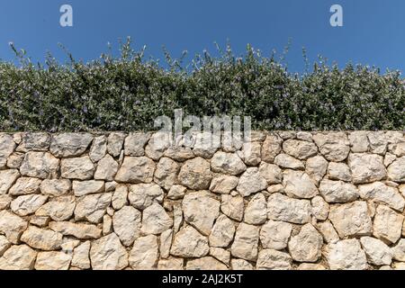 brick wall, green hedge and blue sky horizontal Stock Photo