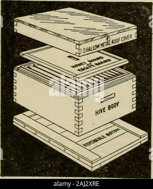 Gleanings in bee culture . andedRed-clovfr Stock Italians. A square deal and g-oodqueens are all that I can promise. I shall be pleased tohave your order, which will be filled in rotation- how-ever. I can also take care of rush orders. Prices: Sing-le queen, $1.00; si.x for S,5.00: 100, §75.00. ADDRESS PLAINLY W. H. LAWS, BEEVILLE, TEXAS New England Beekeepers Every Thing in Supplies New Goods Factory Prices Save Freight CULL & WILLIAMS CO.Providence, R. I. When Ordering Supplies remember we carry a full stock and sell at thelowest catalog price. Two lines of railroad-Maine Central and Grand T Stock Photo