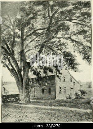 Gleanings from old Shaker journals, compiled by Clara Endicott Sears . eese to the mobwithout, and the chief part of them ate freely. After this Elder James said, I must go and speakthe word of the Lord to them; and accordingly went outwith some of the brethren, and spake to them. Hequestioned them very solemnly concerning such riotousproceedings, and said: Why have you come here toabuse us? What have we done? Have we hurt or in-jured your persons or property? If we have, make ussensible of it, and we will make you satisfaction. Afterthese words the mob broke forth in a rage, and seizedElder J Stock Photo