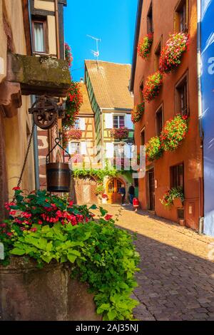 ALSACE WINE REGION, FRANCE - SEP 19, 2019: Street with typical houses in Riquewihr picturesque village which is located on Alsatian Wine Route, France