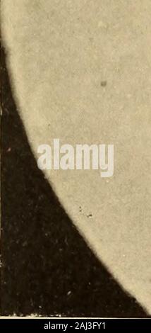 Induced cell-reproduction and cancer.. . 4 Stock Photo - Alamy