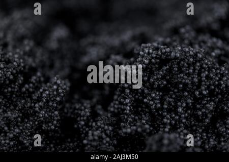 Portion of fresh Black Caviar (selective focus; close-up shot) Stock Photo