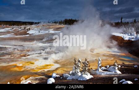 Porcelain basin in winter, Yellowstone National Park, Wyoming, USA Stock Photo