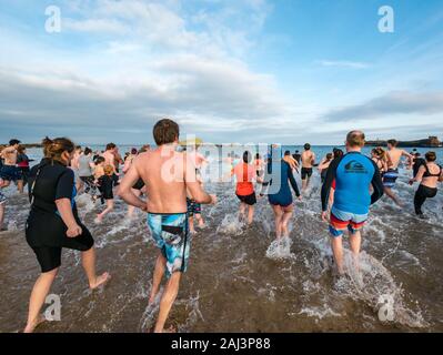 People run into the sea for 2020 New Year's Loony Dook or Dip, North Berwick, East Lothian, Scotland, UK Stock Photo