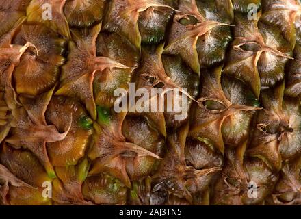 Abstract plant texture, ripe pineapple closeup, macro Stock Photo