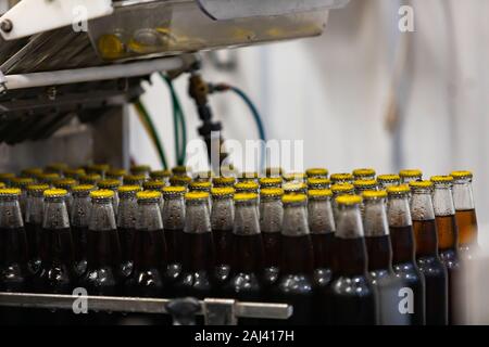 Dark beer glass bottles with yellow cap, capping bottle machine, electric pneumatic conveyor belt line, Craft brewery factory microbrewery bottling Stock Photo