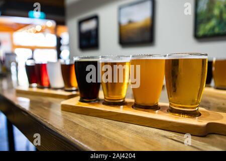 Flight of craft four of different beers glasses on a wooden tray during a tasting session, selective focus with blurred bar background Stock Photo