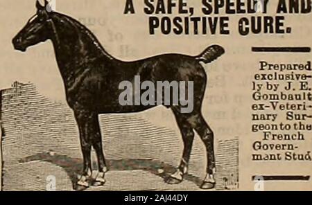 Breeder and sportsman . urchase transports and horses foruse in the South African war. This means that theBritishers will continue buying horses in America, andif the Boers manage to hold out a year or two longer(and they seem to be doing pretty well just now) theprices of horses in this country will go still higher. Castleton, the banner farm in the celebrated bluegrass district of Kentucy, is for sale. It contains 617acres, all in grass, has first-class improvements, and isin the neighborhood of the celebrated Walnut HallFarm, where so many champion trotters are beingbred, and also close to Stock Photo