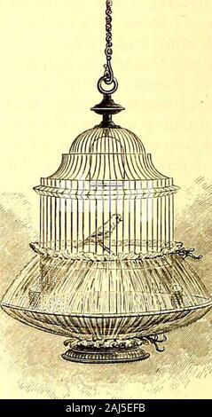 St Nicholas [serial] . f mostbirds ; light chocolate is good also. In these Ger-man cages the color is burnt into the wires, andnot painted on where Pet can peck it off and makehimself sick. Brass cages are bad also, becausethe poisonous green rust or verdigris, which islikely to collect upon them, is sure to be eaten bythe bird. Your cage must allow of being takenapart, for thus only can it be thoroughly cleaned.The door should be sufficiently large to admit agood-sized bathing tray. As to food and drinkingvessels, the conical fountains for seeds are to beavoided; they become foul. Pet can on Stock Photo