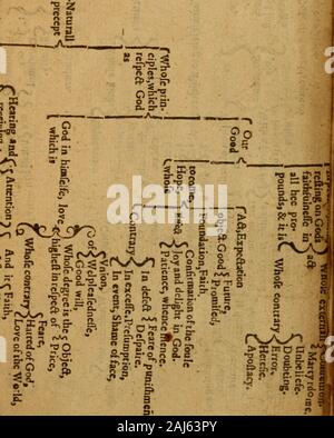 The marrow of sacred divinity : drawne out of the Holy Scriptures and the interpreters thereof, and brought into method . or. ^ ^ S rr D- aro o o 2 ^^. &gt; X r« a c ^ • era ;ro-i • • o B Stock Photo