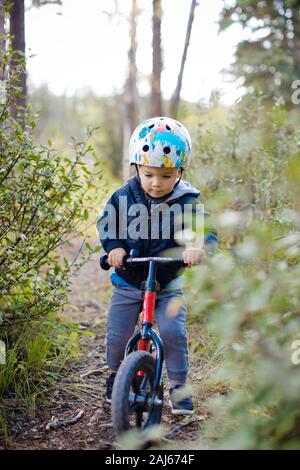 boy riding push bike through forest. Stock Photo