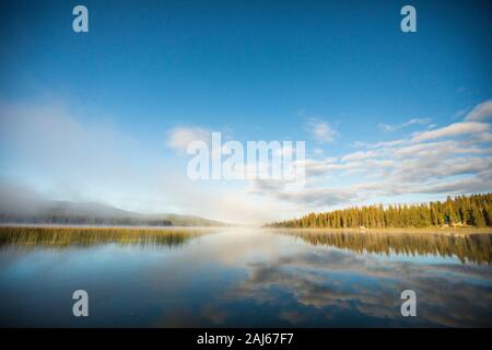 Morning forest and clouds reflections in calm lake. Stock Photo