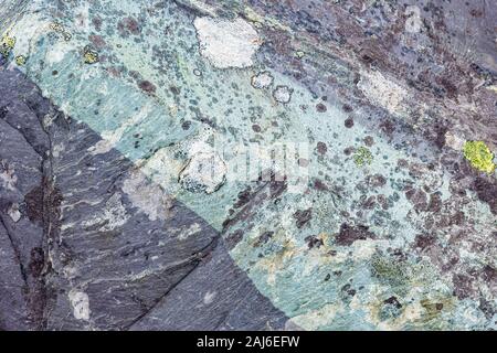 Old slate spoil with lichen, Snowdonia, North Wales Stock Photo