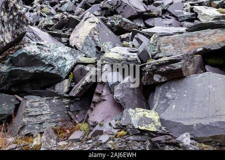 Old slate spoil with lichen, Snowdonia, North Wales Stock Photo