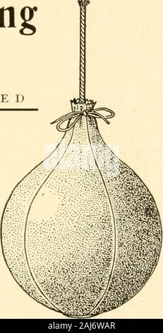 Spalding's how to play foot ball; . V VTENTED. This bag will swing true because it is built that way. It cannotmake a false move, no matter how hard it is hit. No loop to inter-fere with rope, and the most certain in its action of any on themarket. It is made with a lace running around the neck, like adraw-string. Inflate the bladder, drop the wooden ball into theopening at the top and pull the lace tight; then regulate the lengthof the rope and fit bag to your platform. Ihe Nos. 19, 20, 18, 18band 12 bags listed on opposite page are all made on the same pnnci-ple. Differences in quality of ma Stock Photo