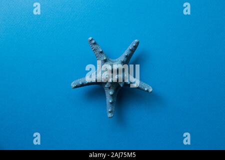 Blue starfish isolated on blue background, summer marine decoration Stock Photo