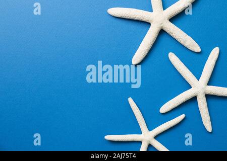 Plastic starfish and fishing net decoration Stock Photo - Alamy