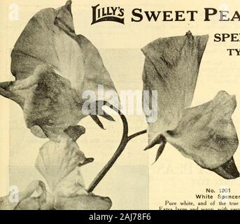 Lilly's complete annual : bee supplies spray materiels poultry supplies fertilizers seeds . THE CHAS. H. LILLY CO.. Stock Photo