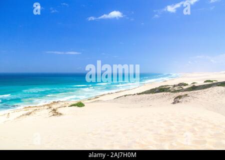 View over sand dunes and the Indian Ocean, De Hoop Nature Reserve, South Africa Stock Photo