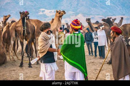 Pushkar, India - Nov 20, 2015. After the sale of a camel herd at the Pushkar Camel Fair in Rajasthan, India, the buyer and seller shake hands. Stock Photo