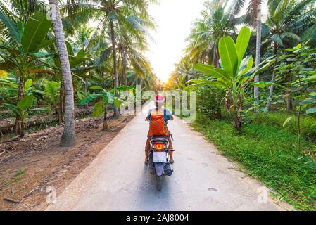 One person riding bike in the Mekong Delta region, Ben Tre, South Vietnam. Lush green coconut palm tree woodland and water channel. Rear view sunburst Stock Photo