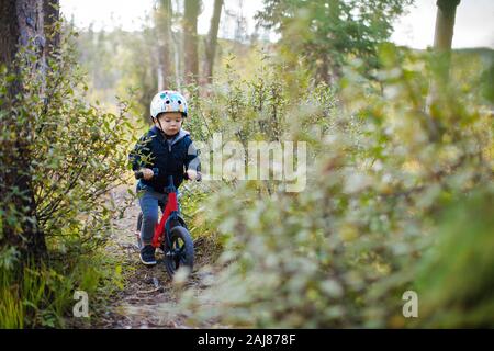 Toddler boy riding bike through dense forest. Stock Photo