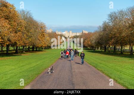Walkers on the Long Walk with Windsor Castle in the distance, Windsor Great Park, Windsor, Berkshire, England, United Kingdom