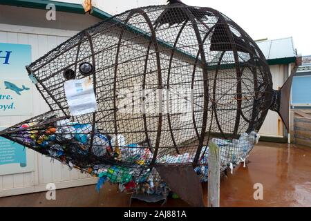 Filup The Fish, created by metal artist Robert Floyd, for plastic waste bottle collection on the promenade at Westward Ho! North Devon, UK Stock Photo