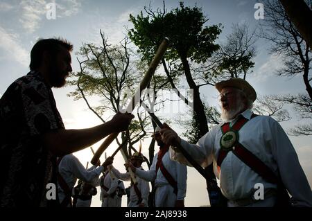 Morris Men. Members of the Chanctonbury Ring Morris Men hit sticks together as they dance amongst trees as they welcome in the first May morning. Stock Photo