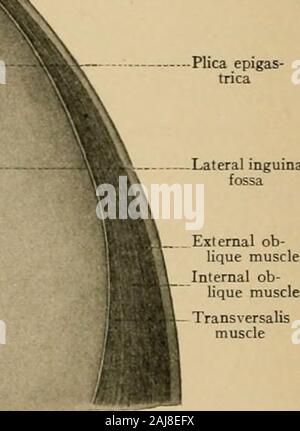 Atlas and text-book of topographic and applied anatomy . the