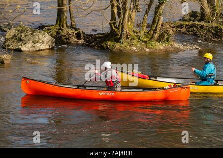 Canoeists in Canadian open top Venture canoes paddling on the river Dee in North Wales Stock Photo