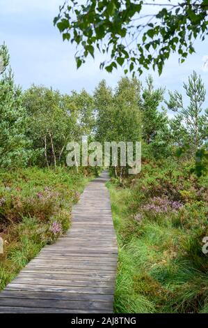 Thursley National Nature Reserve, SSSI, Surrey Stock Photo