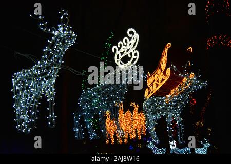 Large golden sleigh of Santa Claus with luminous deer weighing between winter trees in the city park of Dnipro, Ukraine. Bright colorful New Year. Stock Photo