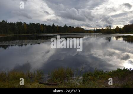 Nelly Moss Lake at Cragside Stock Photo