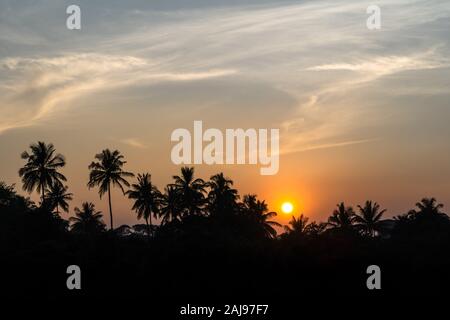 Sunset over palm trees in silhouette with dramatic sky Stock Photo