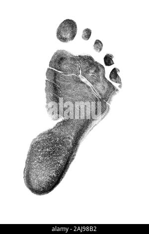 FINGERINSPIRE Footprint Stencil 29.7x21cm Reusable Footprint Symbol  Stencils for Painting Hollow Out 4 Footprint Drawing Stencils Plastic PET  Shoe Print Craft Stencil for Wall, Floors, Furniture : Amazon.co.uk: DIY &  Tools