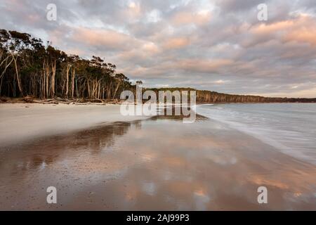 Morning reflections on Woody Beach in Bundjalung National Park. Stock Photo