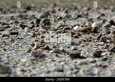 stones on the road Stock Photo