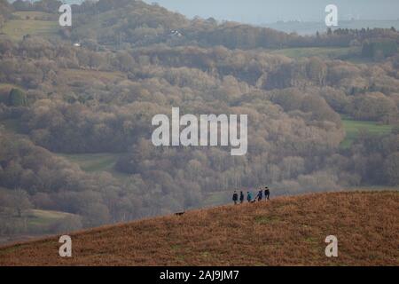 Five people walk a dog on the brow of Garth Hill near Cardiff, with woodlands in the background. Stock Photo