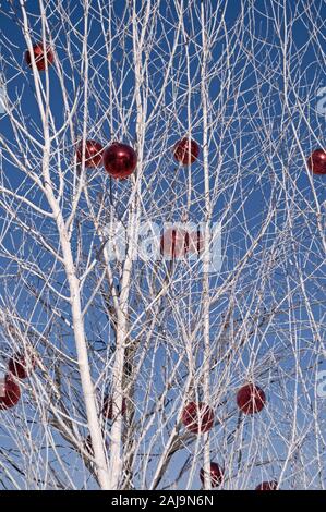 Red christmas balls on tree Stock Photo