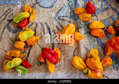 Bell peppers sold at a ouagadougou market, burkina faso Stock Photo