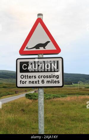 Generic British traffic sign warning road users of rare otters on a rural road on the Isle of Mull Scotland Stock Photo