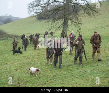 team of guns and beaters on a pheasant shoot Stock Photo