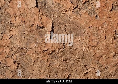 Adobe clay weathered wall of rural vintage country house closeup as clay background Stock Photo