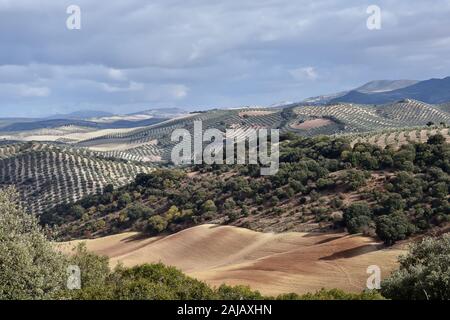 summer landscape of the south Stock Photo